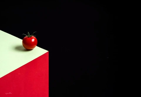Abstract Photography by Champika M Wijerathne