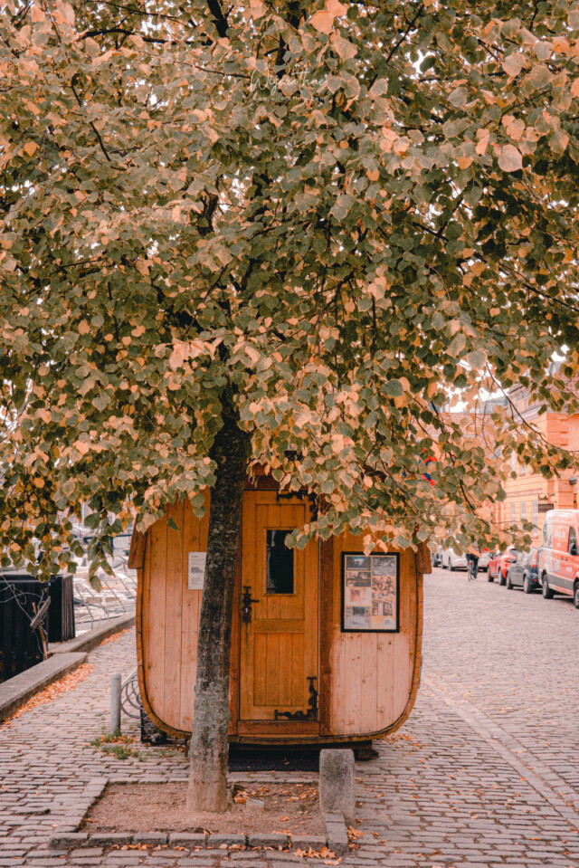 copenhagen-in-authmn-fall-by-champika-m-wijerathne-photography-scaled